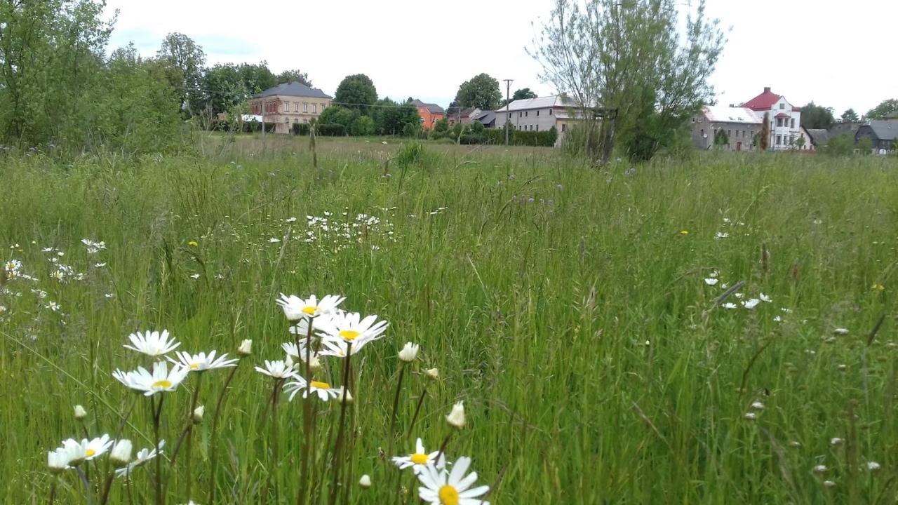 Apartament Apartman Lipova Ludvikovicky Zewnętrze zdjęcie